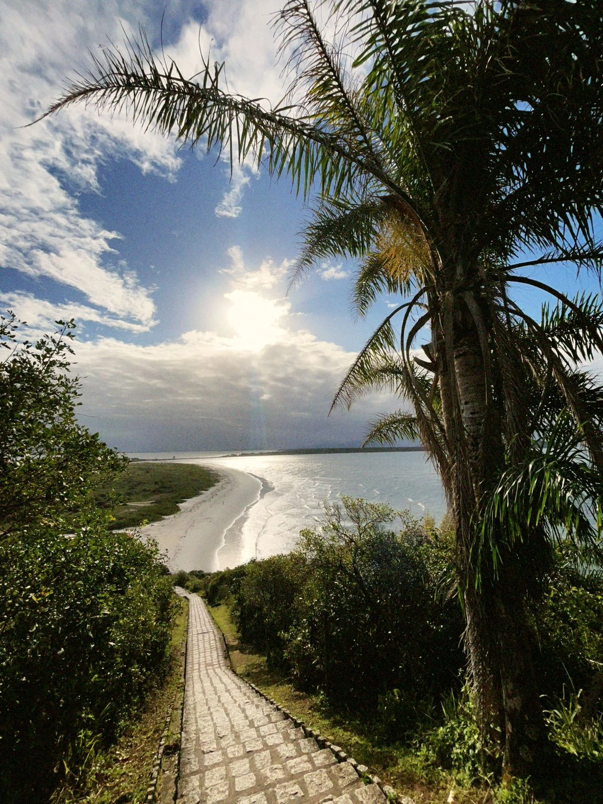 natureza e vista de cima do caminho da trilha do farol